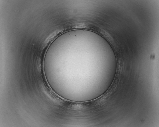X0000115340298200911161838