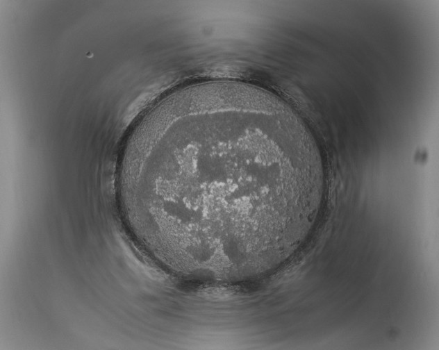 X0000115340299200911161838