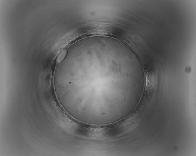 X0000115340301200911161838