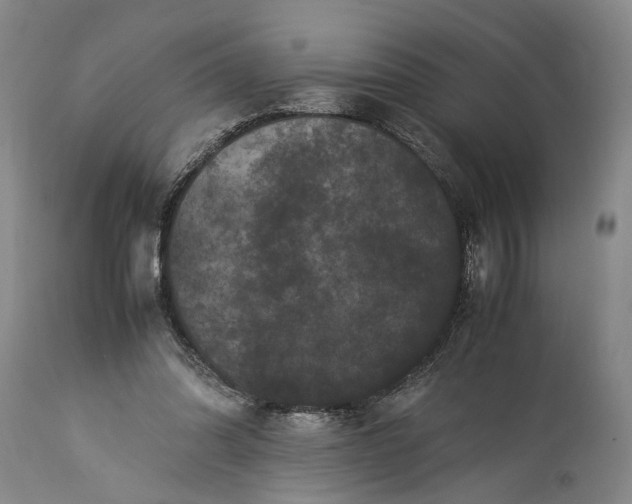 X0000115340302200911161838