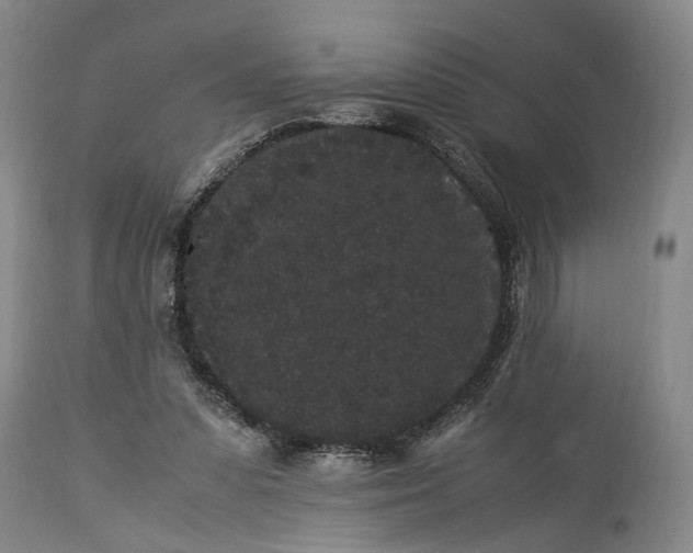 X0000115340303200911161838