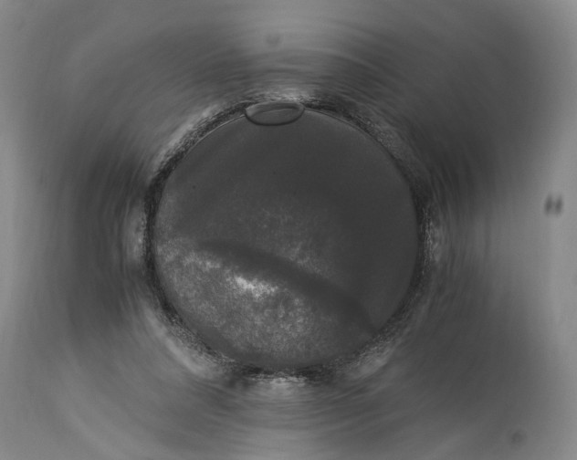 X0000115340304200911161838