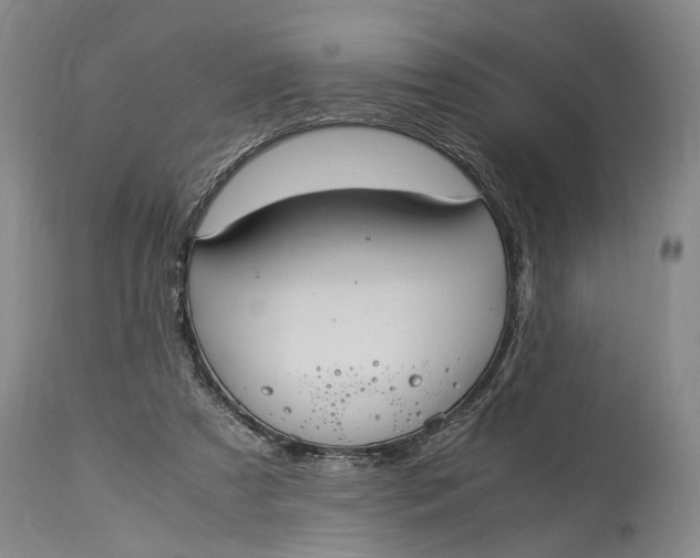 X0000115340305200911161838