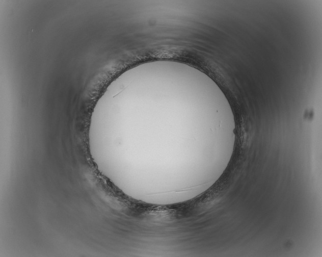 X0000115340307200911161838