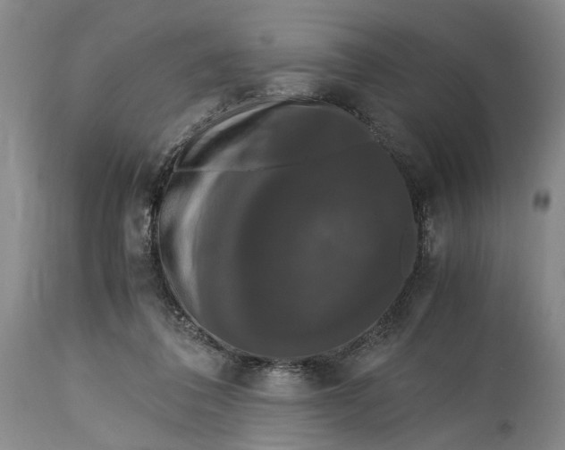X0000115340308200911161838