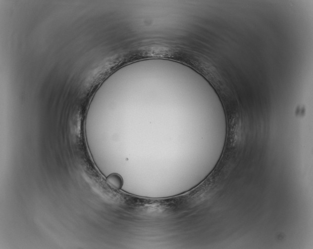 X0000115340310200911161838
