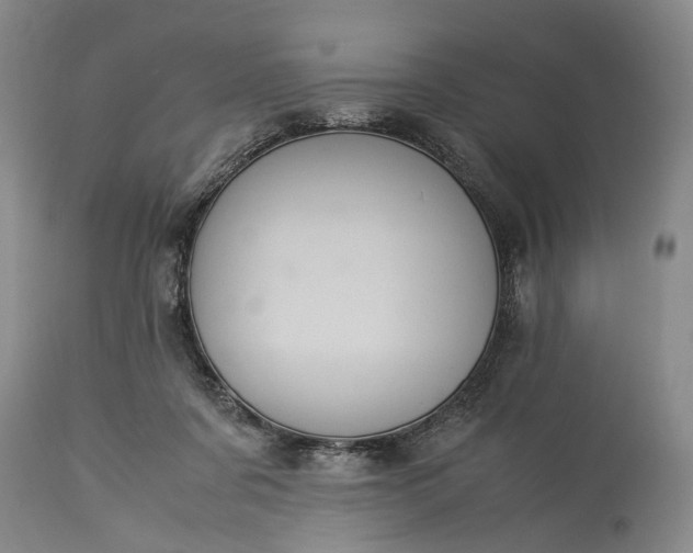 X0000115340311200911161838