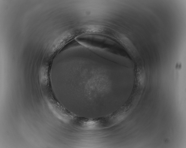 X0000115340312200911161838