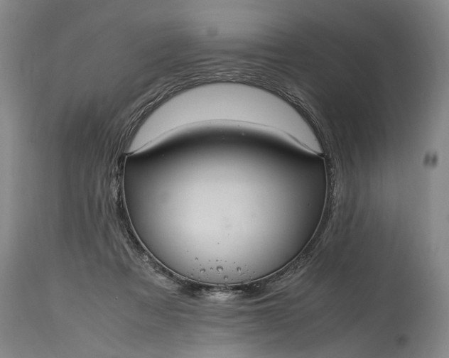 X0000115340313200911161838