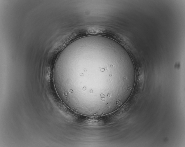 X0000115340315200911161838