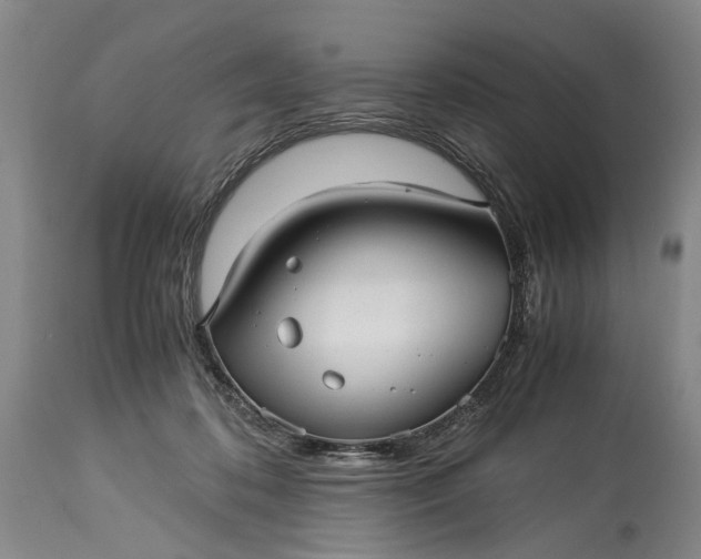 X0000115340316200911161838