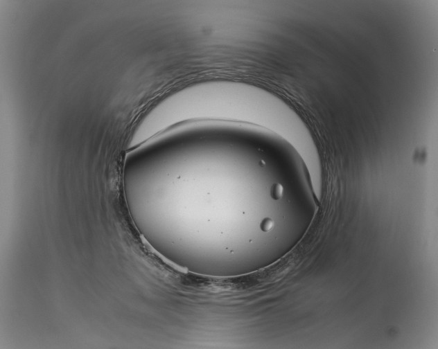 X0000115340317200911161838
