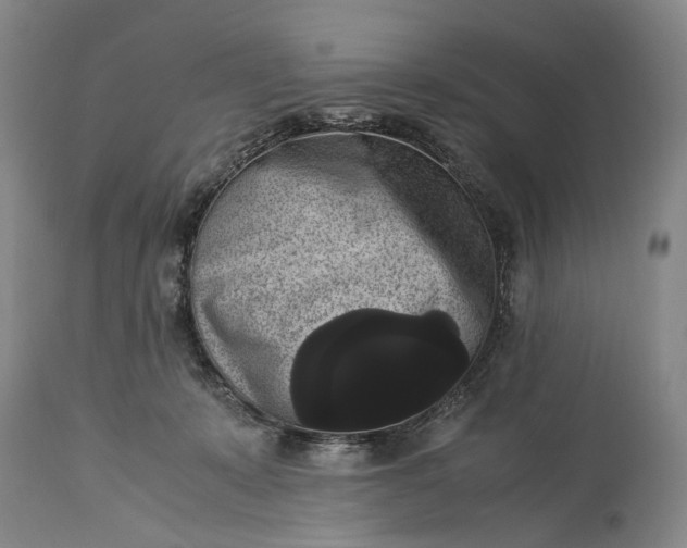 X0000115340319200911161838