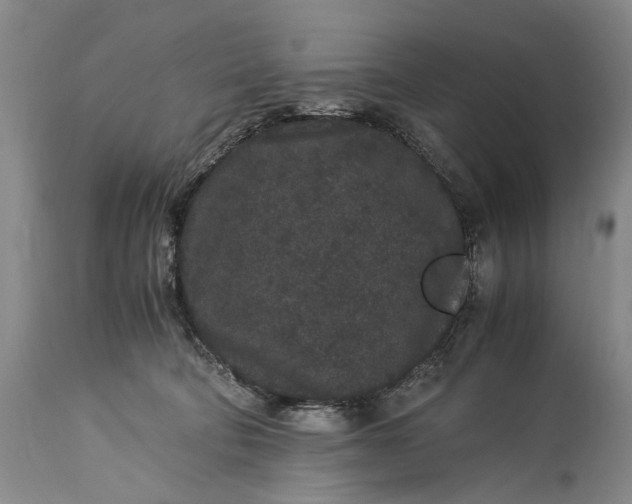 X0000115340322200911161838