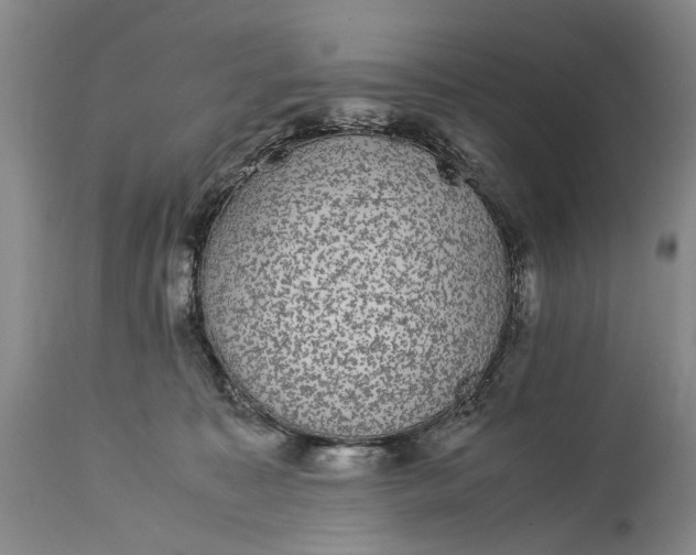 X0000115340323200911161838