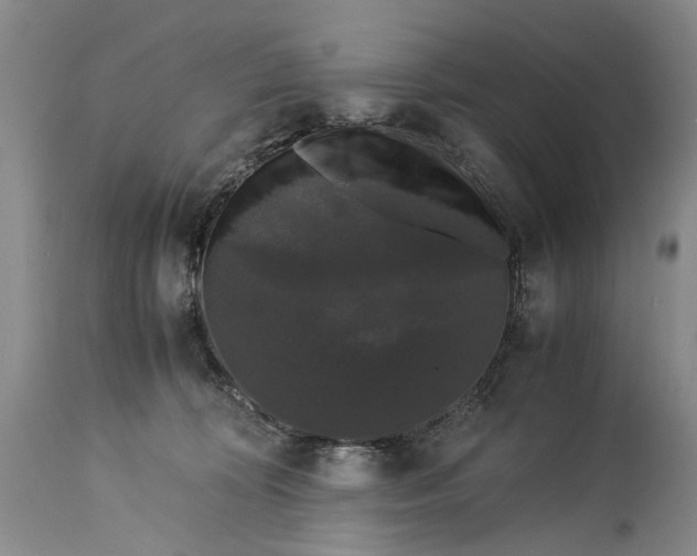 X0000115340324200911161838