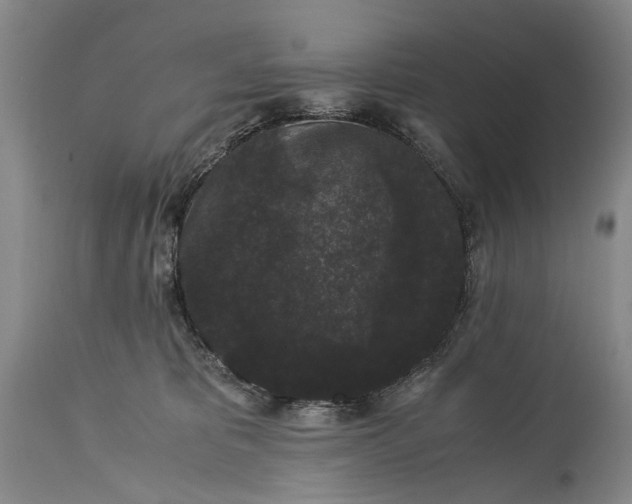 X0000115340325200911161838