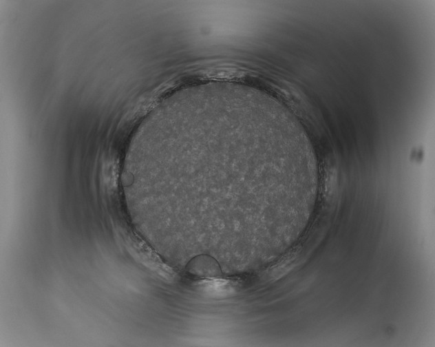 X0000115340326200911161838