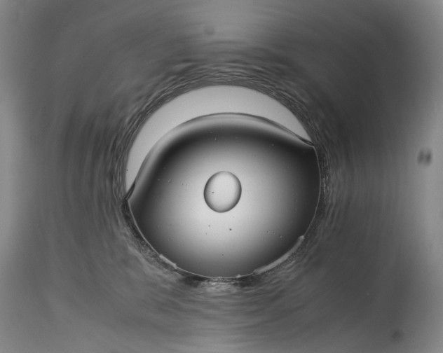 X0000115340327200911161838
