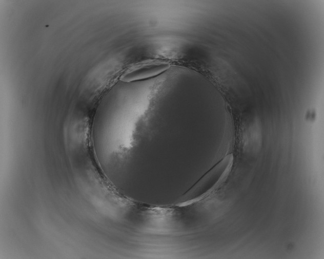 X0000115340328200911161838
