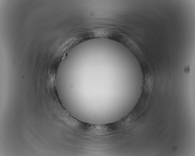X0000115340329200911161838