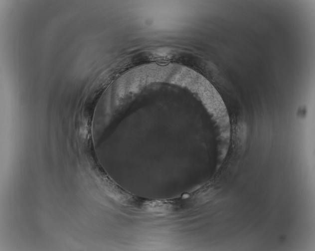 X0000115340331200911161838