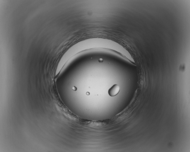 X0000115340332200911161838