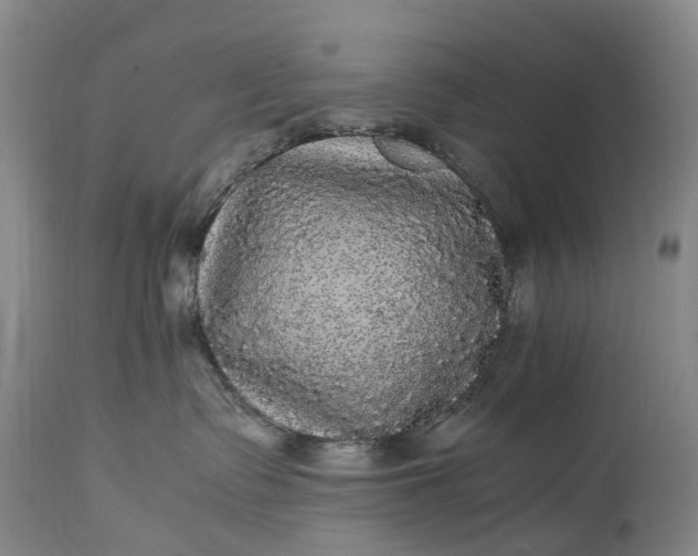 X0000115340335200911161838