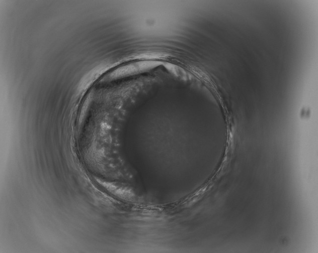 X0000115340337200911161837