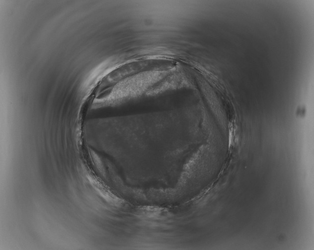 X0000115340339200911161837