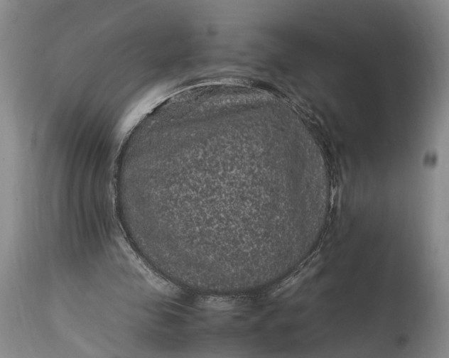 X0000115340341200911161837