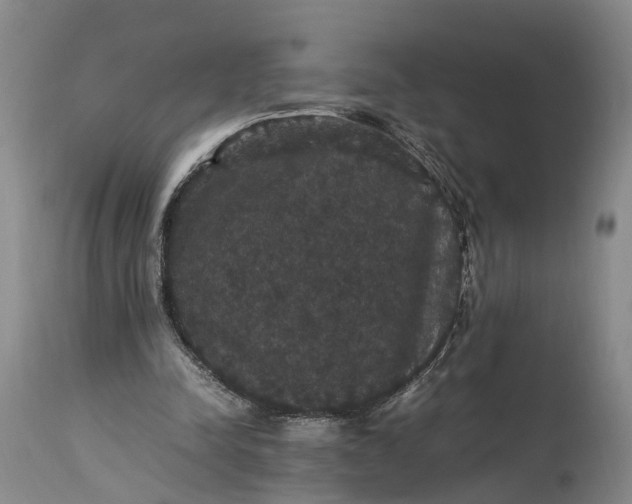 X0000115340342200911161837