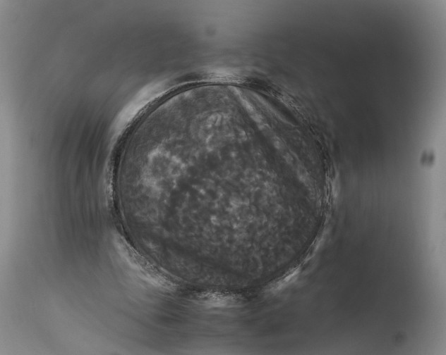 X0000115340343200911161837