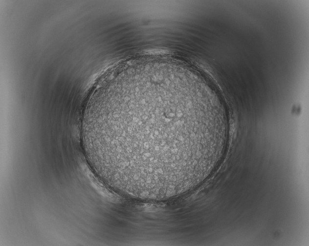 X0000115340345200911161837