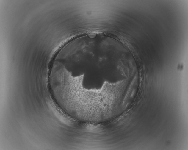 X0000115340346200911161837