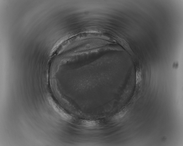 X0000115340349200911161837