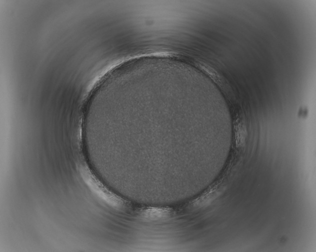 X0000115340350200911161837