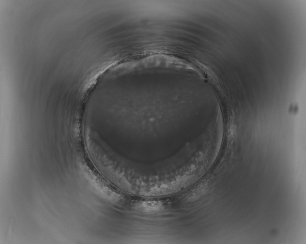 X0000115340353200911161837