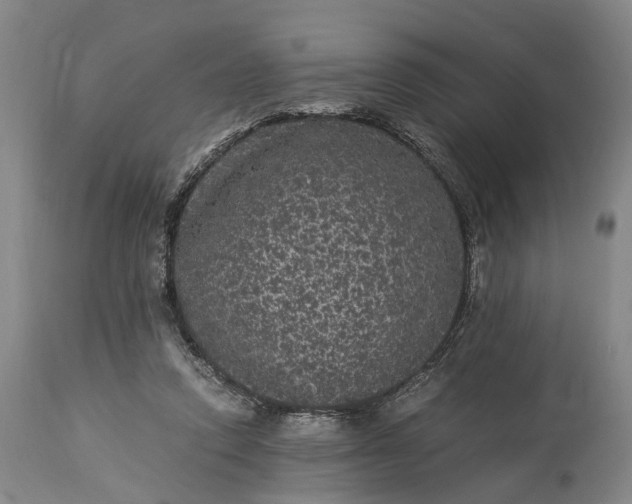 X0000115340354200911161837