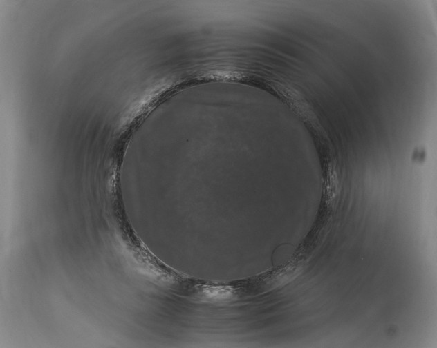 X0000115340355200911161837