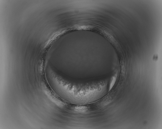 X0000115340357200911161838