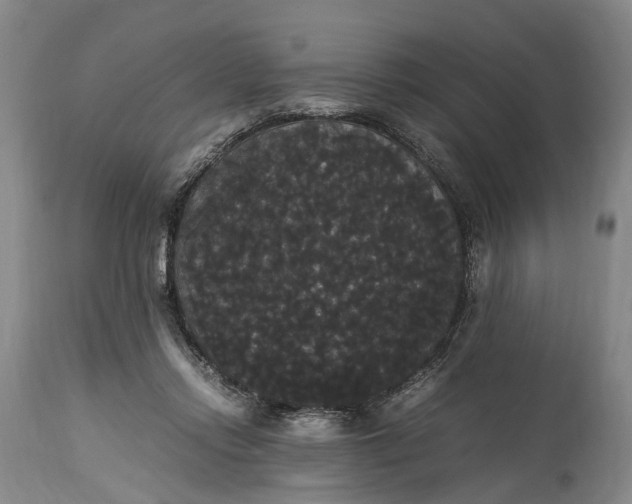 X0000115340358200911161838