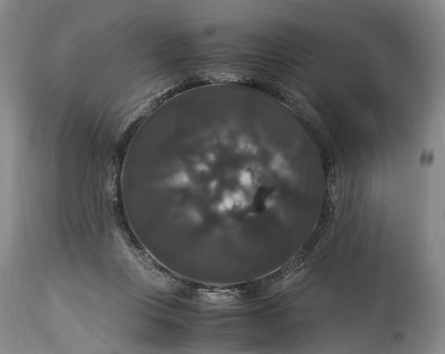 X0000115340359200911161838