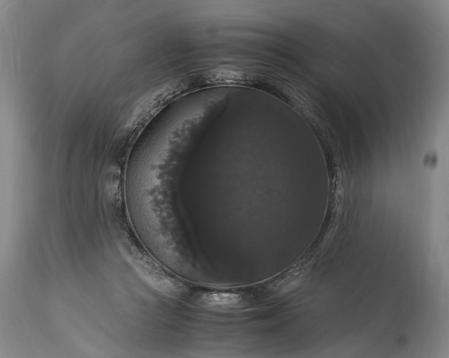 X0000115340361200911161838