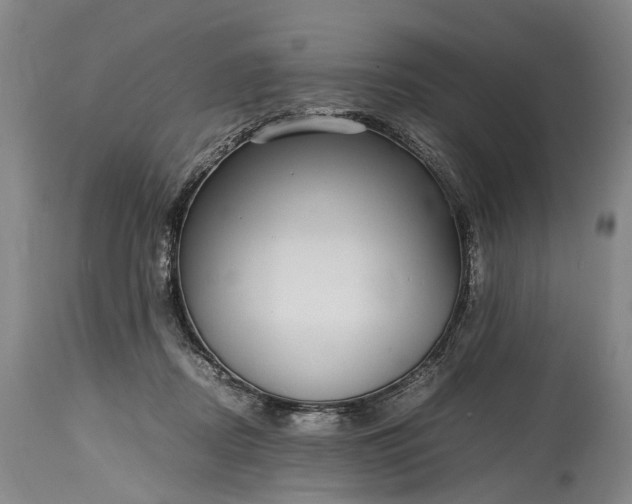 X0000115340362200911161838