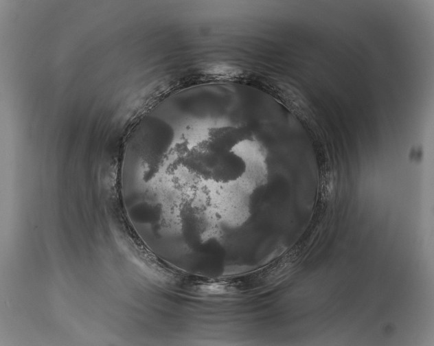 X0000115340365200911161838