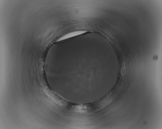X0000115340366200911161838