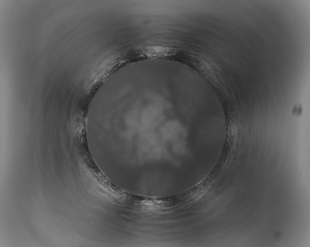 X0000115340367200911161838