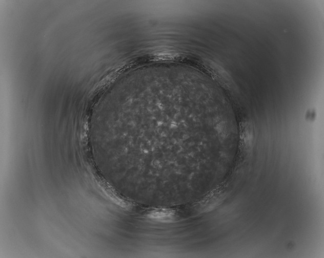 X0000115340369200911161838