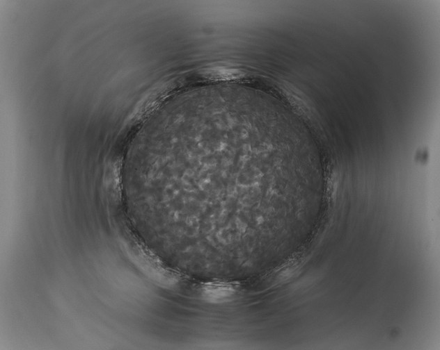 X0000115340373200911161838